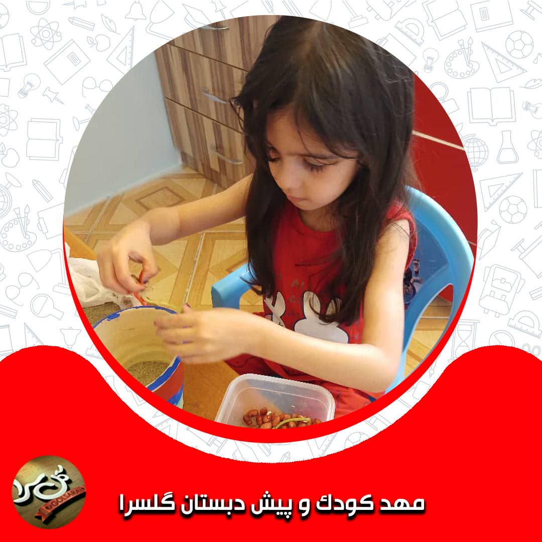 مهد کودک و پیش دبستان گلسرا